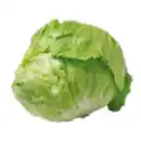 Bild 1 von Deutscher Eisbergsalat
