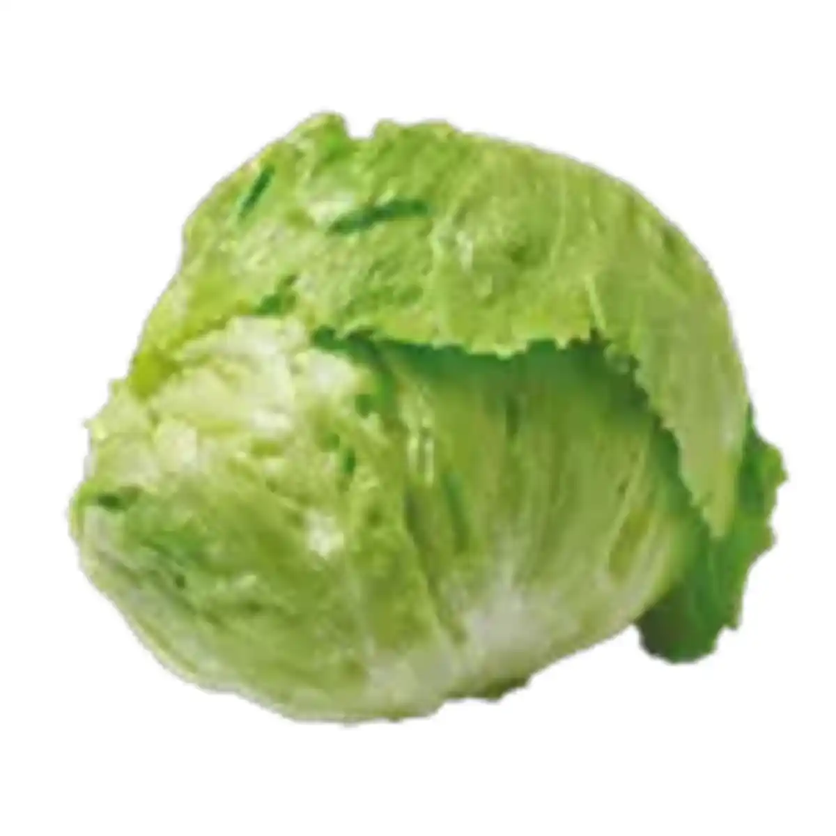 Bild 1 von Deutscher Eisbergsalat