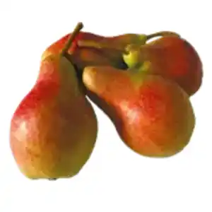 Birne Carmen