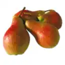 Bild 1 von Birne Carmen