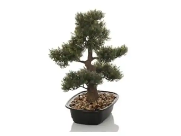 Bild 3 von HJH OFFICE Kunstpflanze / Kunstbaum BONSAI 44 cm