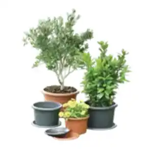 Blumentopf Cilindro oder Untersetzer