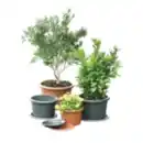 Bild 1 von Blumentopf Cilindro oder Untersetzer