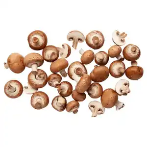 Bio Champignons braun 250 g