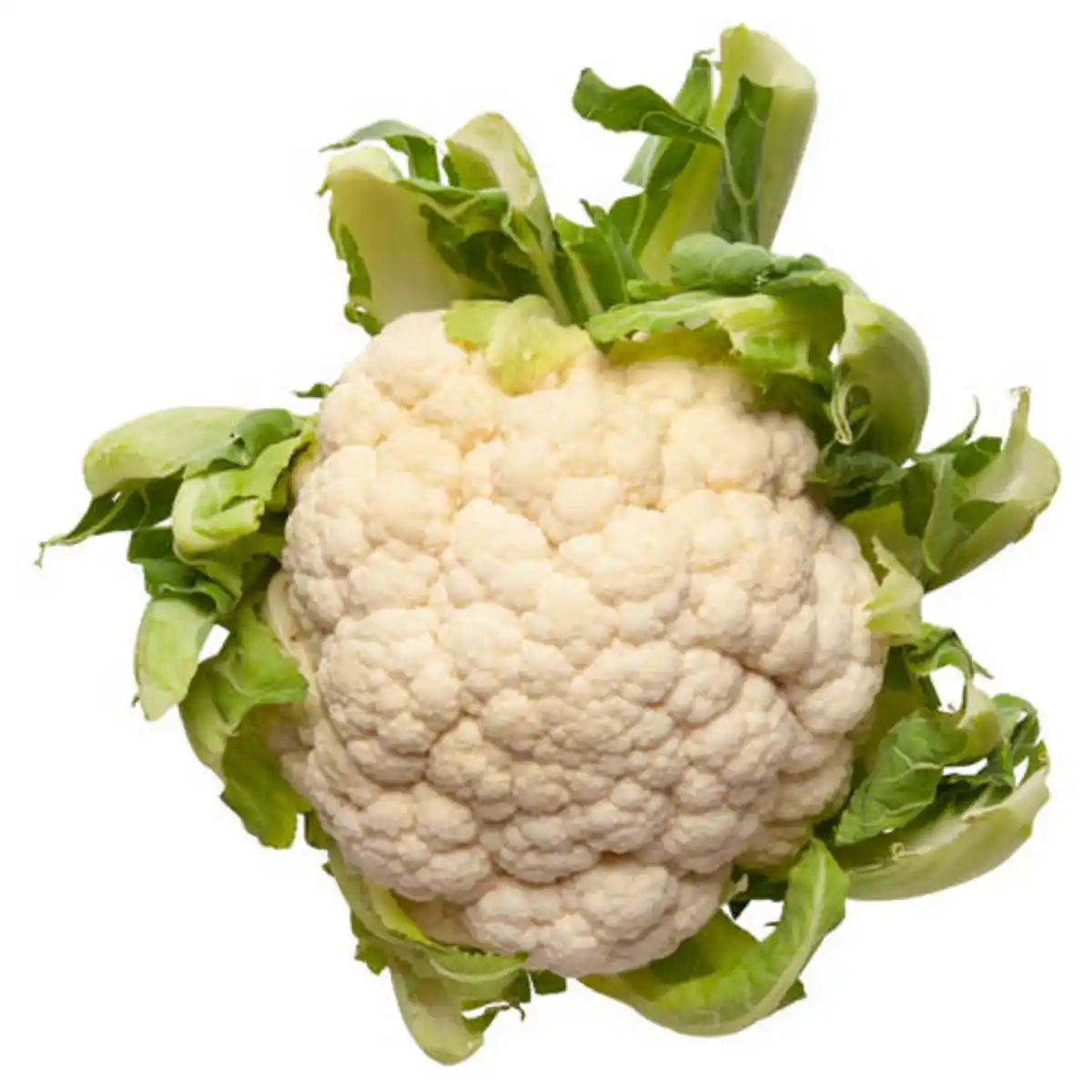 Bild 1 von Blumenkohl, Stück