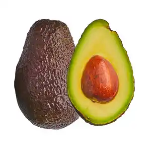 Bio Avocado, 2er-Schale
