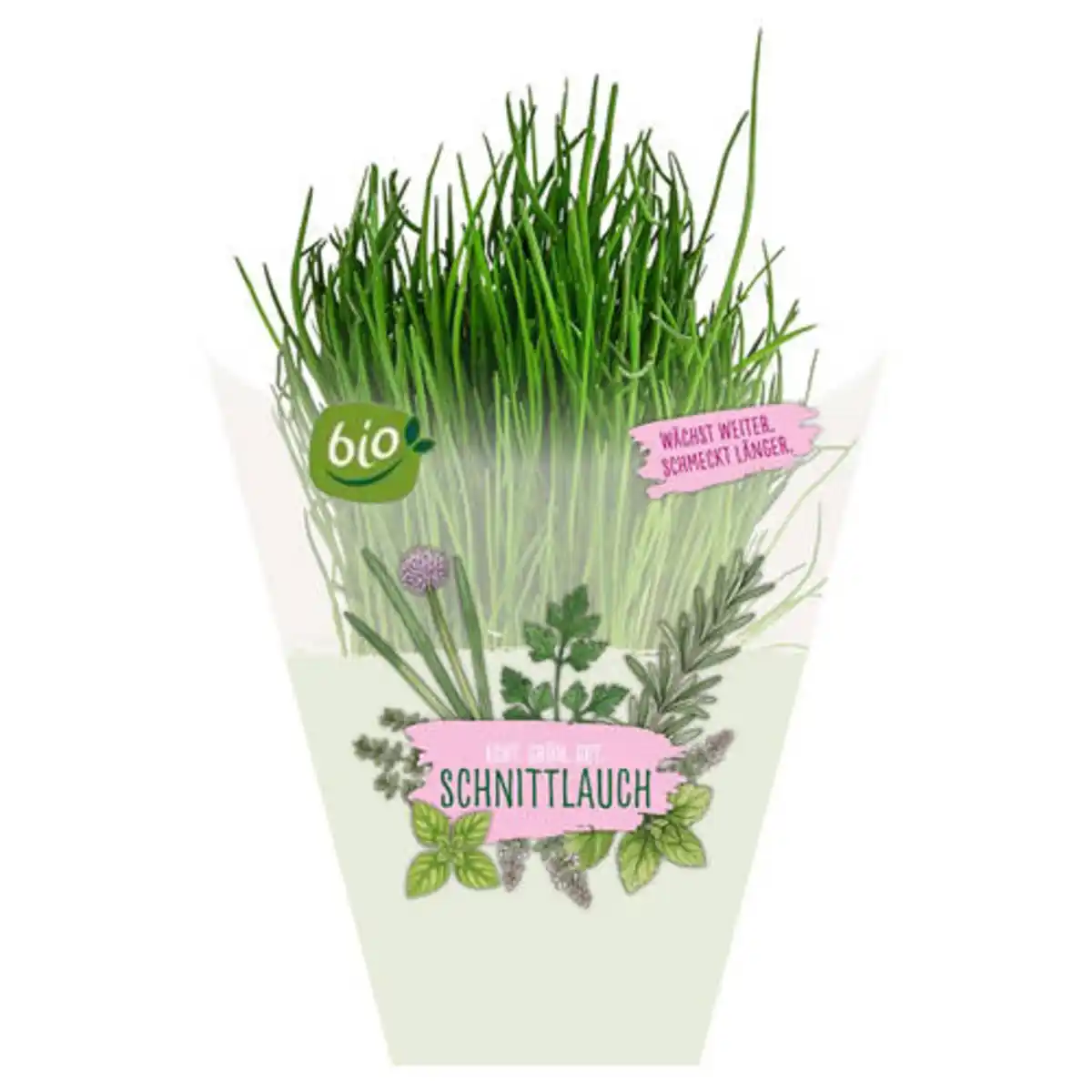 Bild 1 von GARDENLINE Kräuter, Schnittlauch