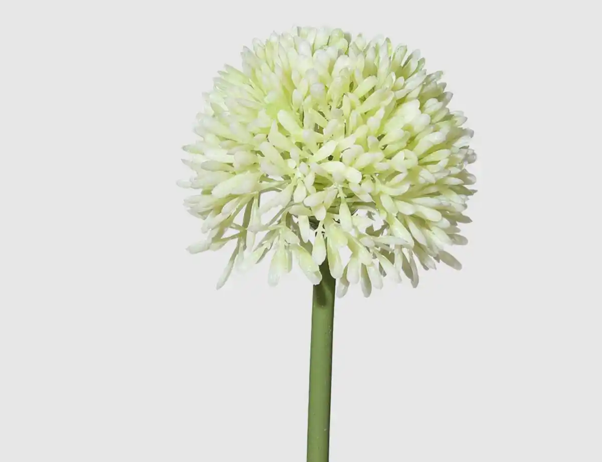 Bild 1 von Kunstblume Allium