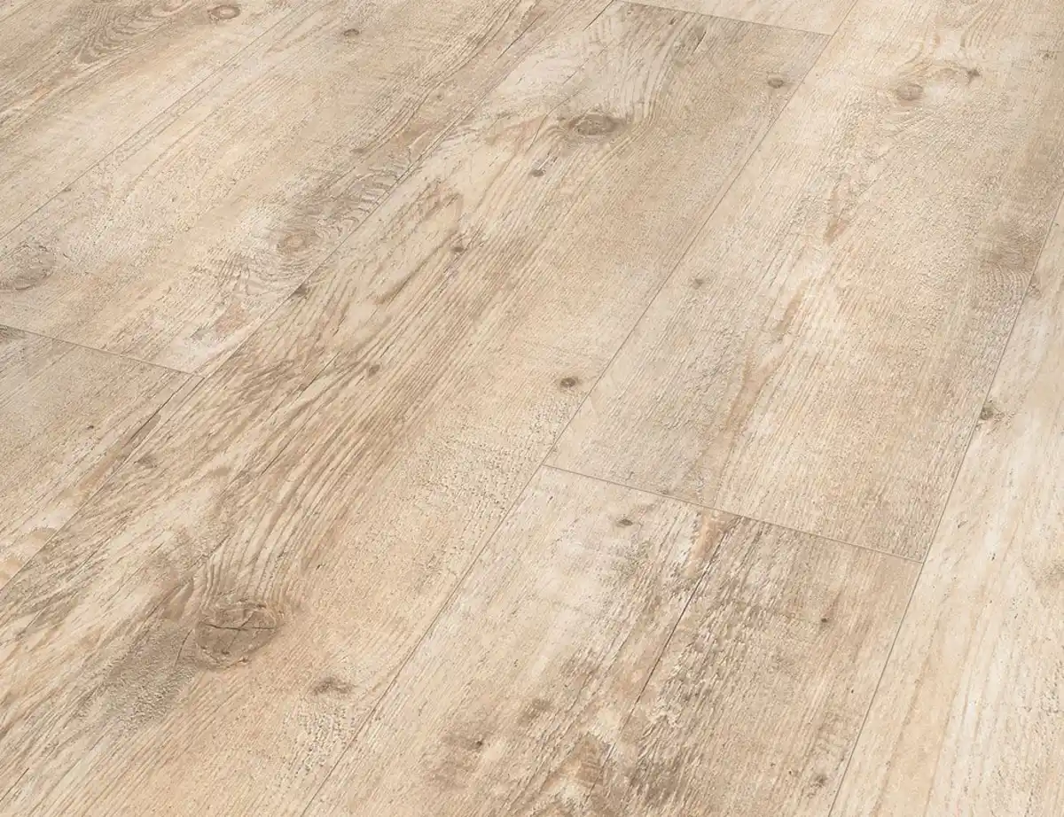 Bild 1 von Laminat Isabella Kiefer Hellbeige