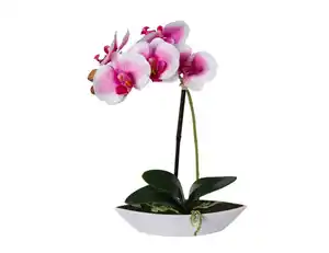 Kunstblume Orchidee