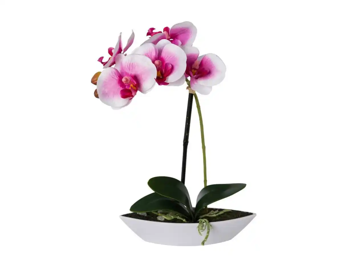 Bild 1 von Kunstblume Orchidee