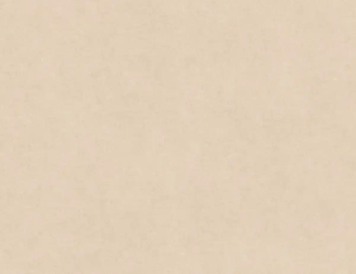 Bild 1 von PVC Hermes Uni Beige 3m