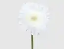 Bild 1 von Kunstblume Gerbera weiß