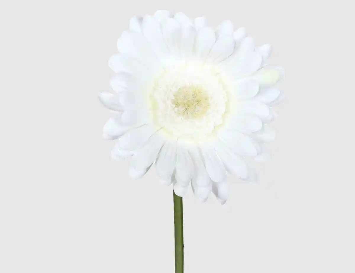 Bild 1 von Kunstblume Gerbera weiß
