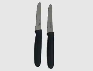 Frühstücksmesser 2er mit Kunststoffgriff
