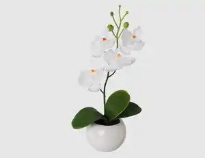 Kunstblume Orchidee