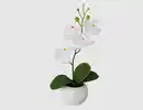 Bild 1 von Kunstblume Orchidee