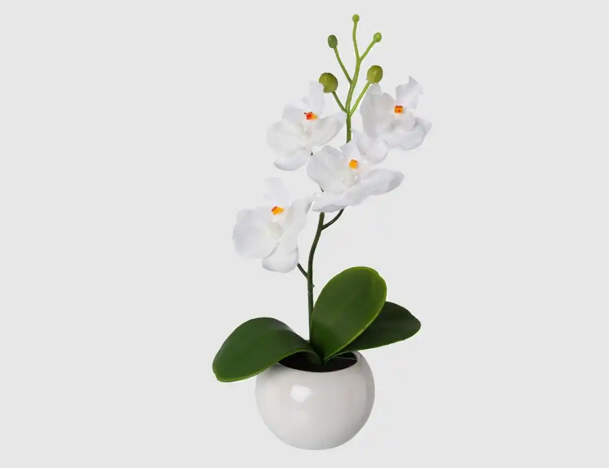 Bild 1 von Kunstblume Orchidee