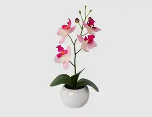 Kunstblume Orchidee