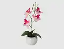 Bild 1 von Kunstblume Orchidee