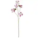 Bild 1 von Dekozweig Bauhinia I Pink/Braun, Pink