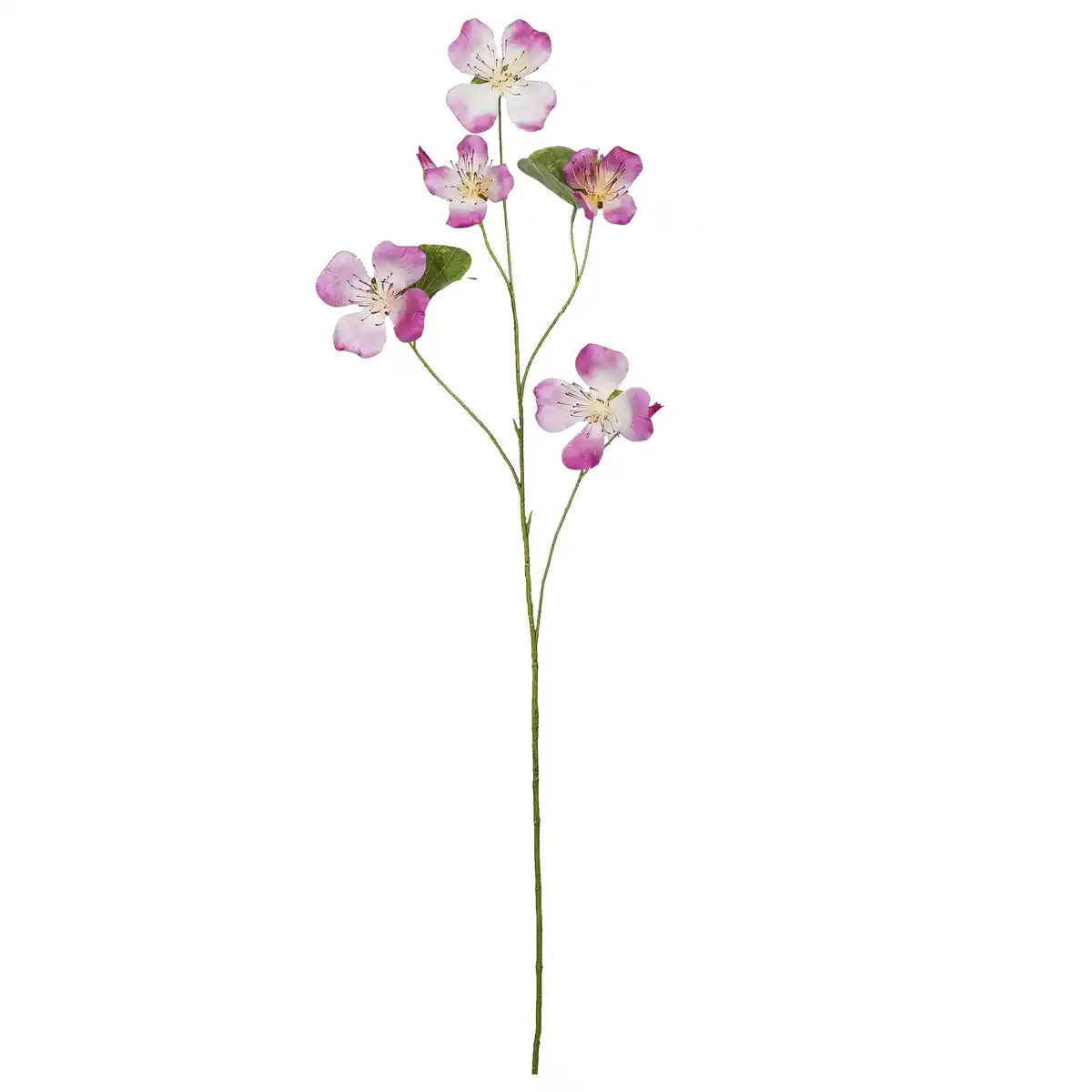 Bild 1 von Dekozweig Bauhinia I Pink/Braun, Pink