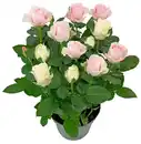 Bild 1 von Sommerblumen