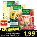 Bild 1 von Finest Garden "Farbsensation" oder "Chamäleon"