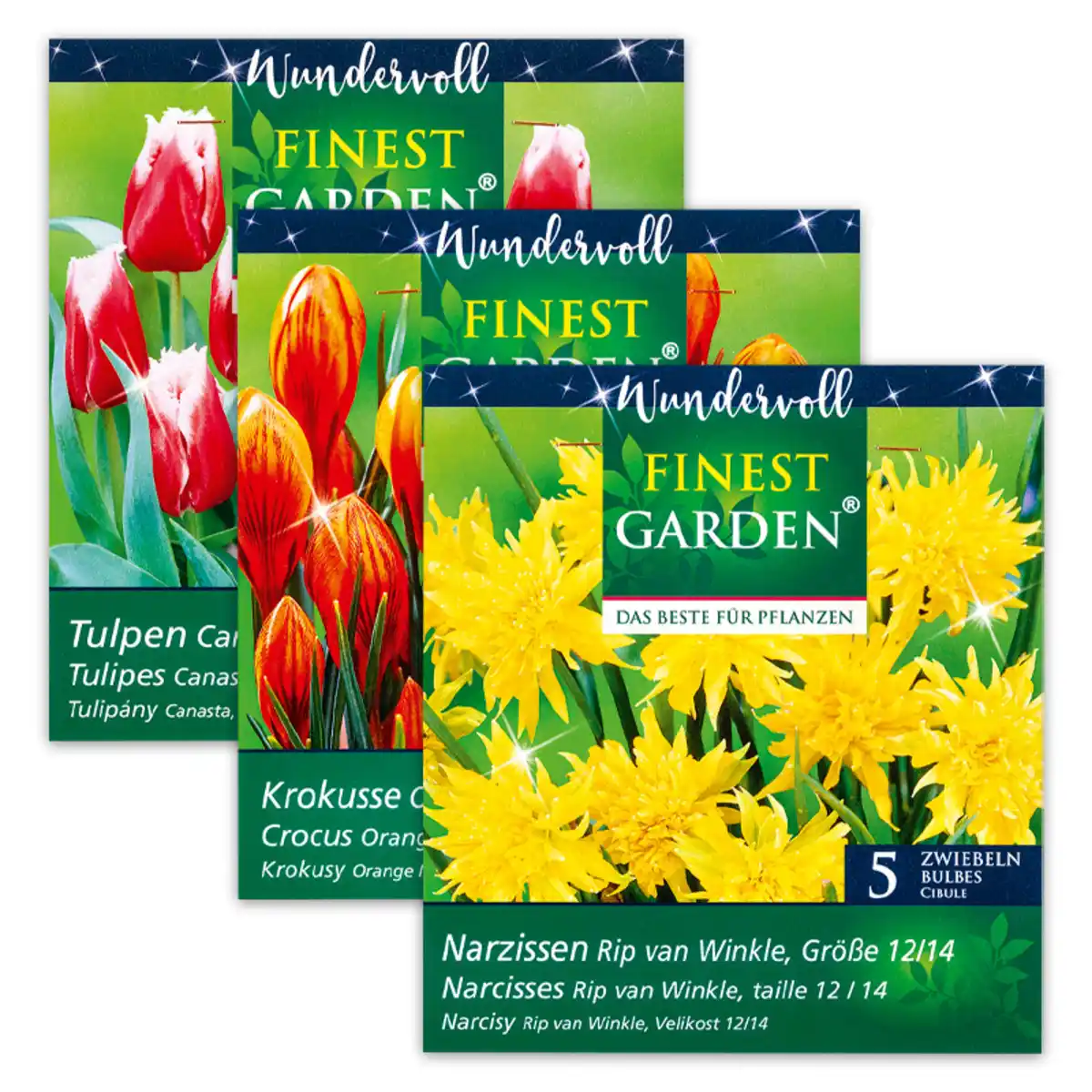 Bild 1 von Finest Garden "Wundervoll"