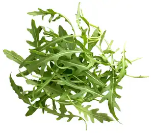 Ital. Bio-Rucola, 100-g-Packg.