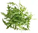Bild 1 von Ital. Bio-Rucola, 100-g-Packg.