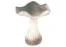 Bild 1 von Dekopilz Magnesia