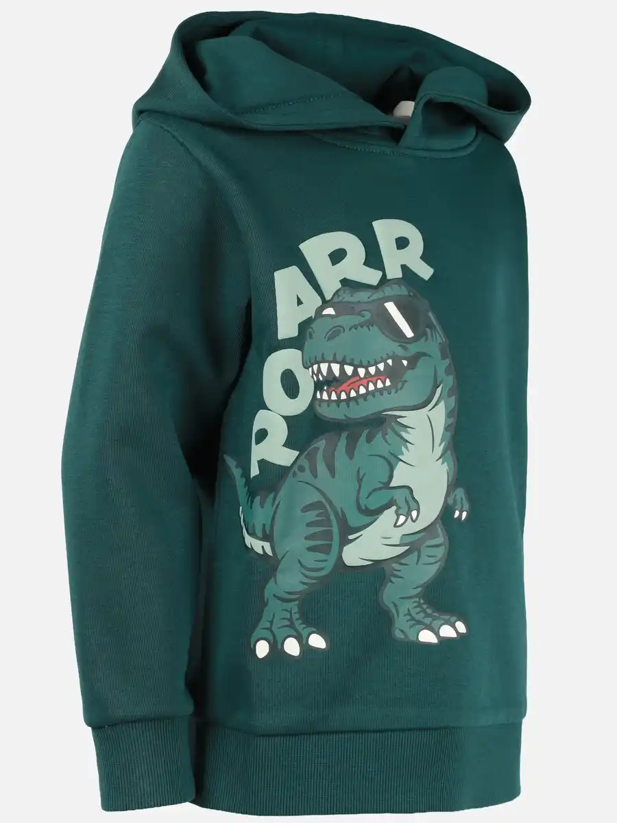 Bild 3 von Jungen Hoodie mit Dinomotiv Grün
