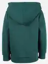 Bild 2 von Jungen Hoodie mit Dinomotiv Grün