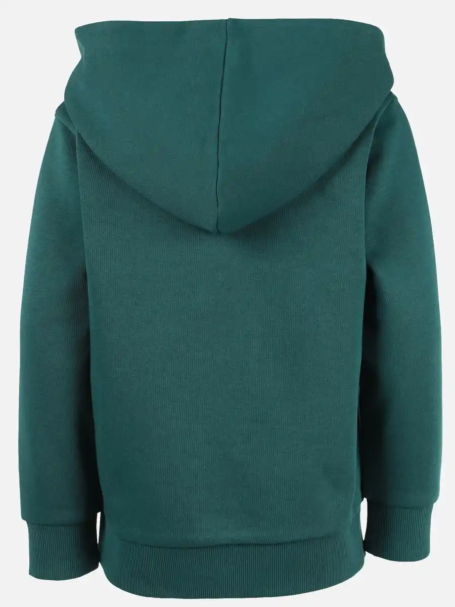 Bild 2 von Jungen Hoodie mit Dinomotiv Grün