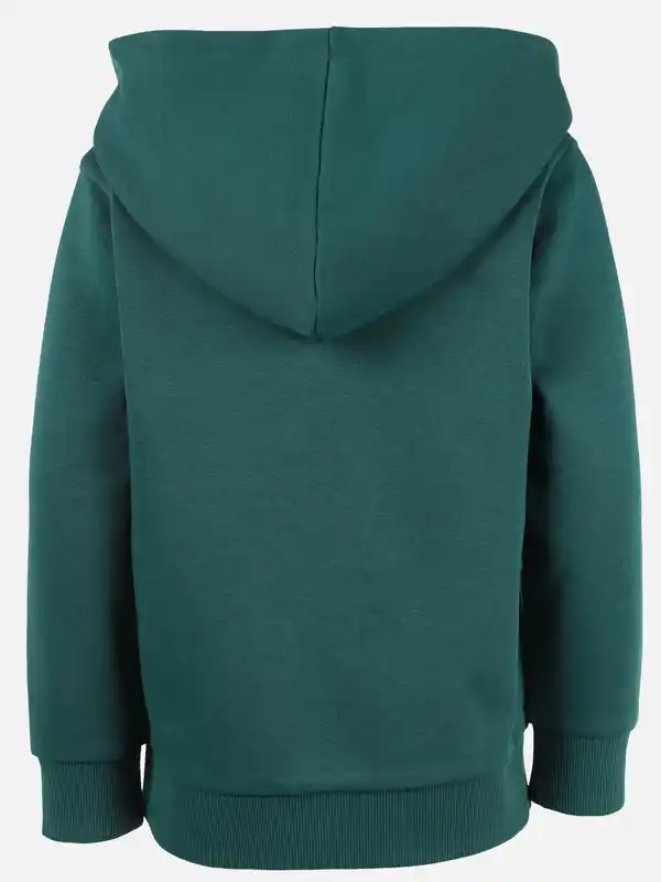 Bild 2 von Jungen Hoodie mit Dinomotiv Grün