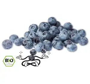 NATURGUT Bio-Heidelbeeren*