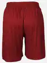 Bild 2 von Damen Plissee Shorts Rot