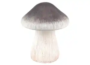 Dekopilz Magnesia