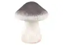 Bild 1 von Dekopilz Magnesia