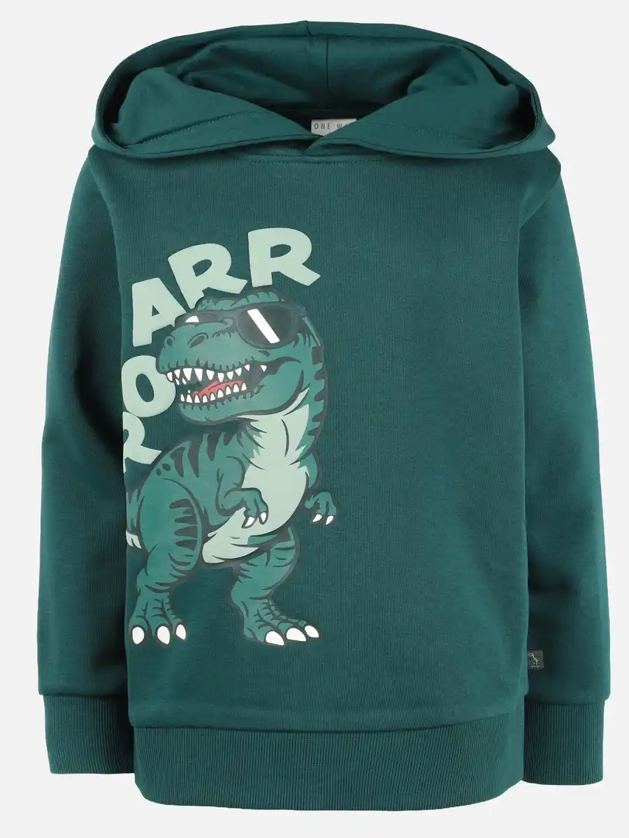 Bild 1 von Jungen Hoodie mit Dinomotiv Grün