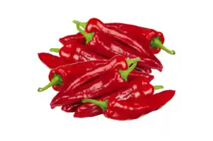 Spitzpaprika