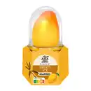 Bild 3 von ASIA GREEN GARDEN Fruity Ice