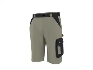 PARKSIDE® Herren Arbeitsshorts