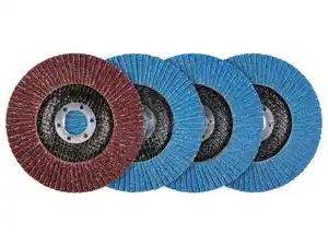 PARKSIDE® Fächerscheiben-Set / Polierscheiben / Klettschleifteller mit Schleifpapier-Set / Schleifvlies-Set / Reinigungsscheibe /,  2 x