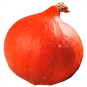 Bio Hokkaido Kürbis