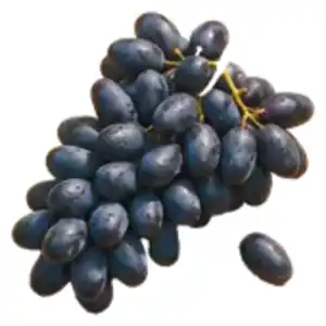Trauben „Palieri“