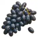 Bild 1 von Trauben „Palieri“