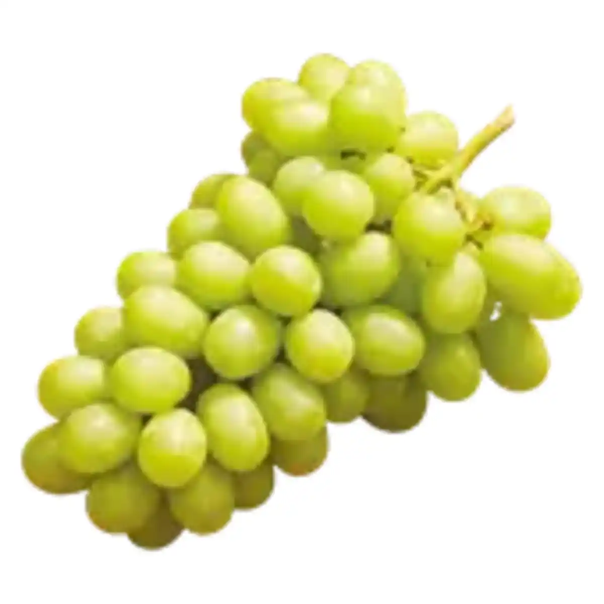 Bild 1 von Traube Candy