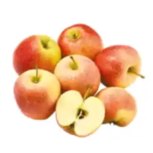 Apfel Gala Neue Ernte